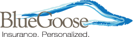 Blue Goose    2021 Bronze